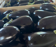 Aubergines