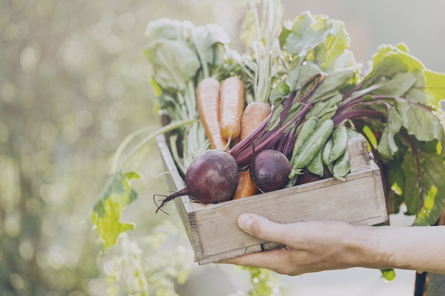 Seasonal Produce