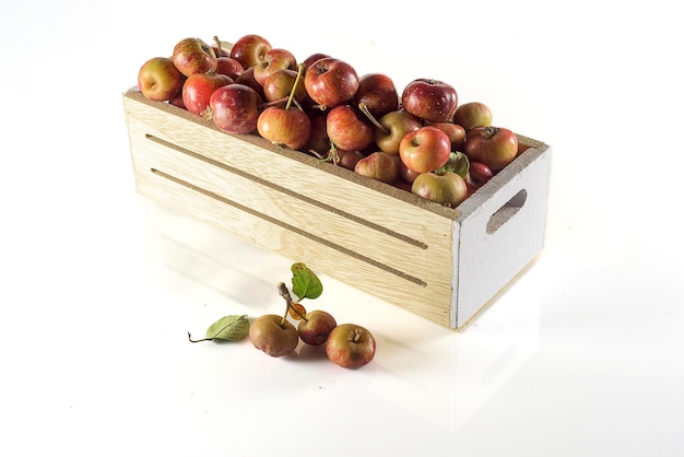 Fresh Fruits